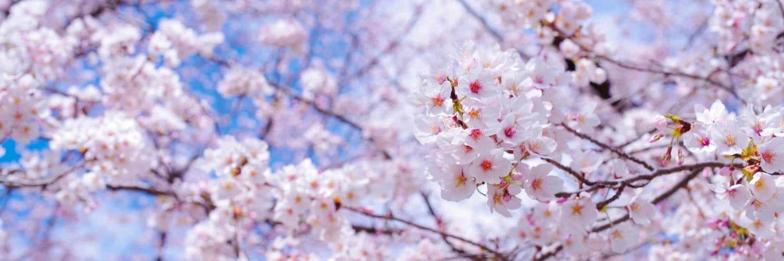 B7B2BFB6-AA94-438D-BFB3-4464AC7610AB_1_201_a